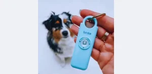 Birdie Alarm showing key safety features
