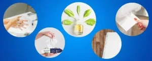Ingredients in Salt and Stone Deodorant