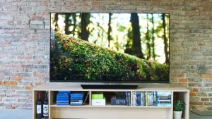 TV on stand with forest scene and brick wall backdrop