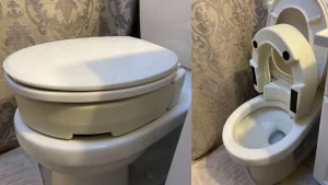  toilet seat riser providing secure seating 