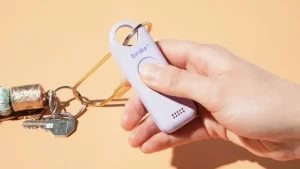 Use Birdie Alarm Effectively
