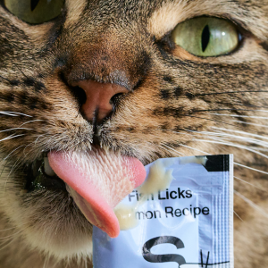 Cat licking and enjoying Smalls Cat Food