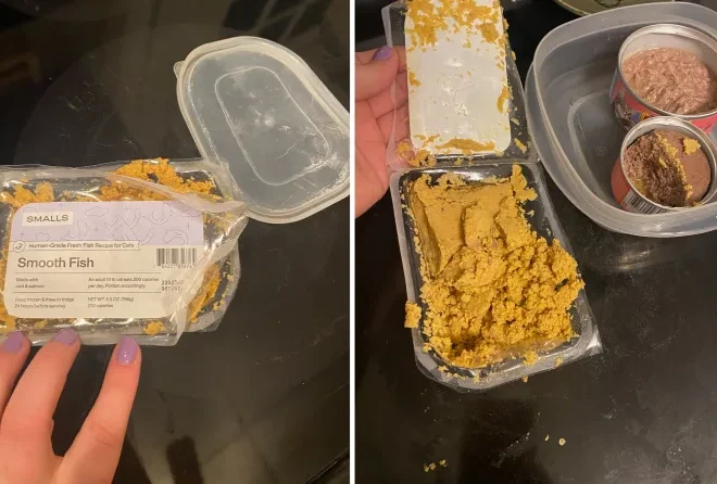 Smalls Cat Food Review | Human-Grade, Is It Worth It?