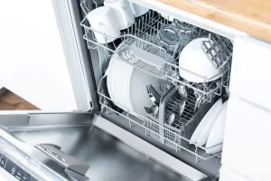 Best Budget Dishwasher for everyday use