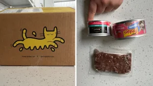 Variety pack of Smalls Cat Food