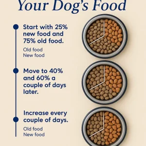 Dog food transition guide with visuals
