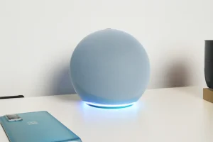 Alexa Emergency tool on desk