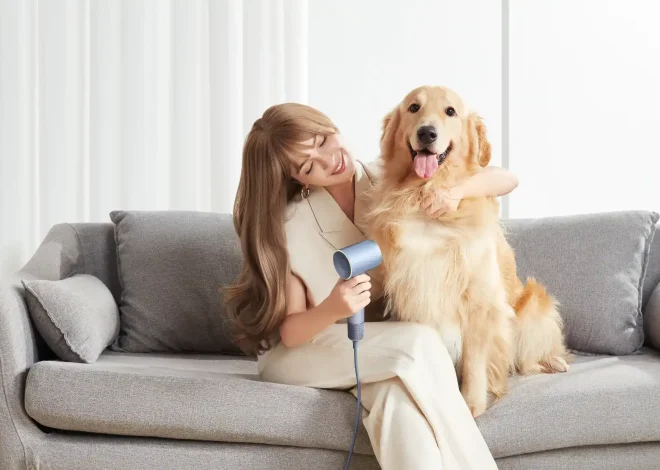 Best Washer and Dryer for Pet Hair with Pet Pro Laundry Solutions