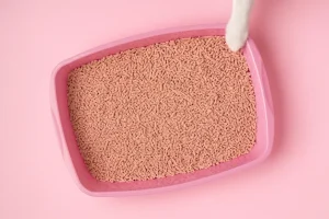 Pink box filled with natural cat litter