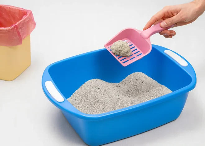 Cat Litter Melts Ice and Provides Traction on Icy Surfaces