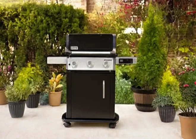 Weber Spirit EX-315 Smart Gas Grill Review